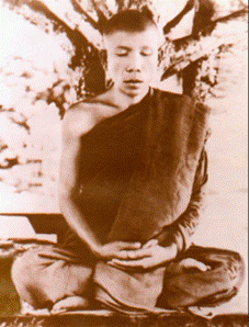 ����ٻ��Шҡ��ҹ�� - OneDrive - Google Chrome