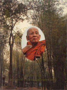 lptet.pdf - Adobe Acrobat Reader (64-bit)