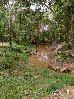 อาจเป็นรูปภาพของ ธรรมชาติ, ต้นไม้ และ แหล่งน้ำ