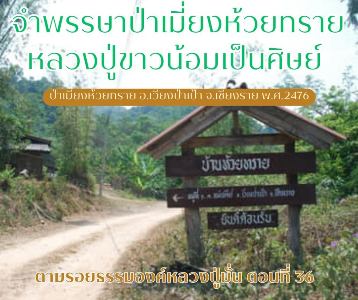 ป่าเมี่ยงห้วยทราย