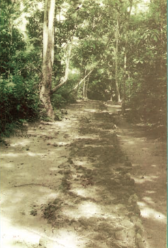 No_06กรรมฐาน้านนา1.pdf - Adobe Acrobat Reader (64-bit)