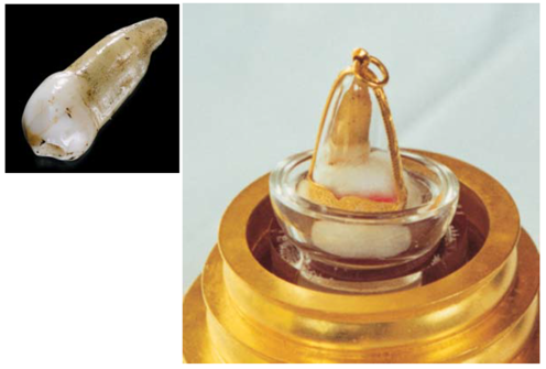 หลวงปู่เจี๊ยะ.pdf - Adobe Acrobat Reader (64-bit)