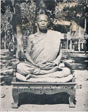 ACDSee PDF Image. and 8 more pages - Work - Microsoft Edge