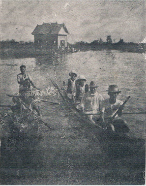 ACDSee PDF Image. and 8 more pages - Work - Microsoft Edge