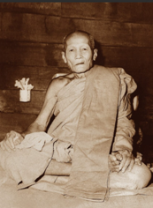 รวมรูปพระจากร้านโปร - OneDrive - Google Chrome