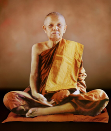 รวมรูปพระจากร้านโปร - OneDrive - Google Chrome