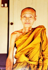 34หลวงตาทองคำ - OneDrive - Google Chrome